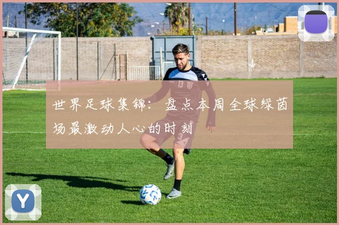 世界足球集锦：盘点本周全球绿茵场最激动人心的时刻